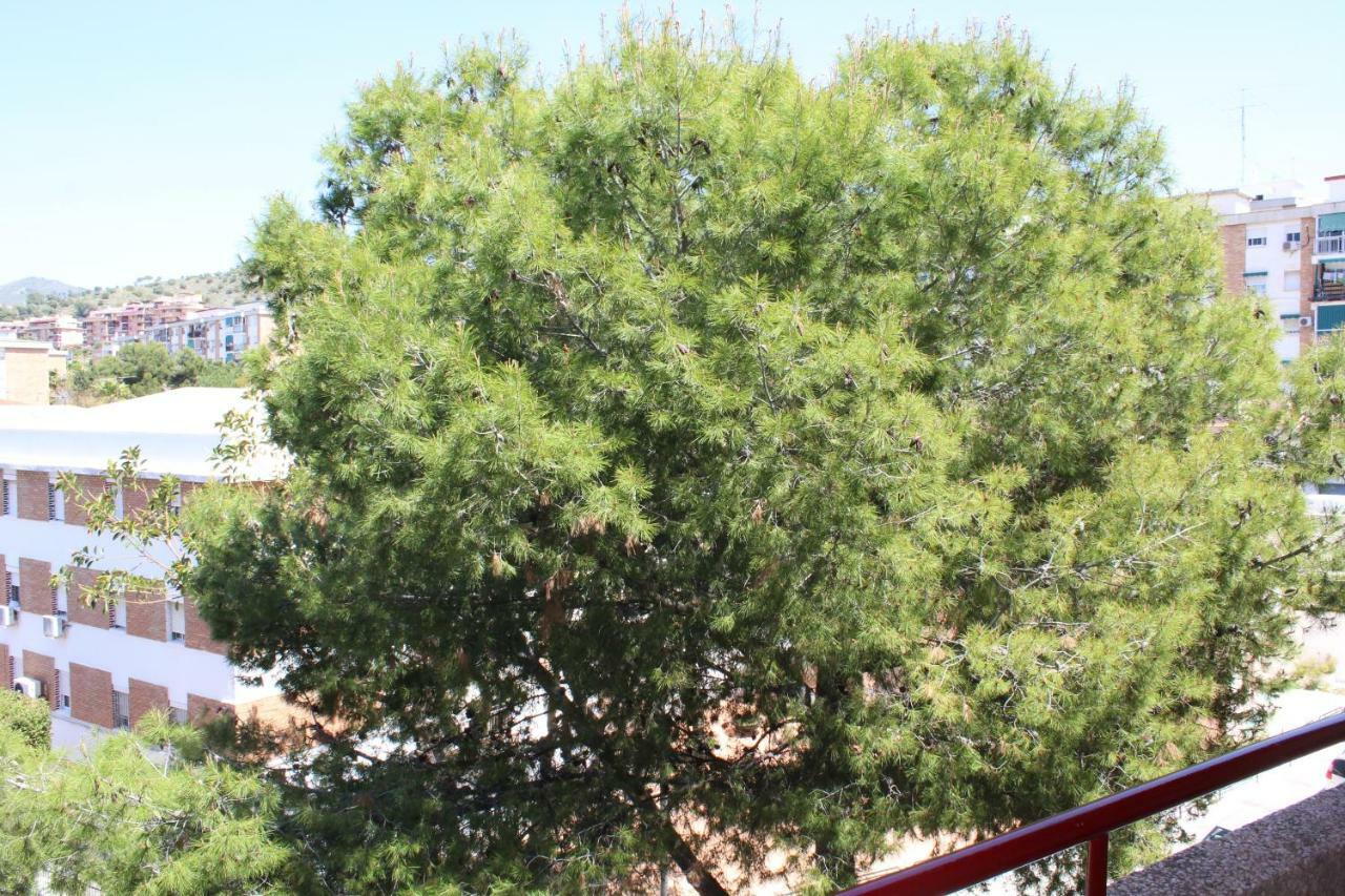 Apartamento Con Parking Gratuito Μάλαγα Εξωτερικό φωτογραφία